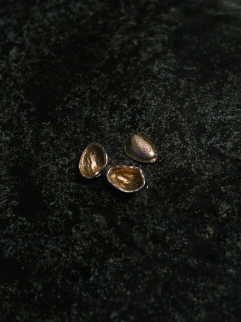 Pistachio Shell