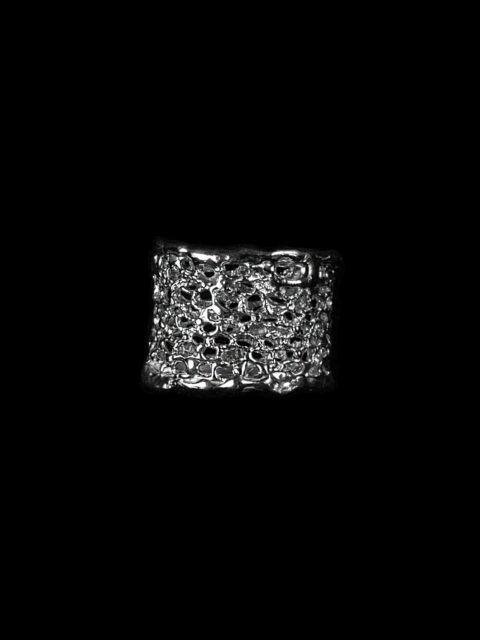 Le Filet de Llŷr Ring