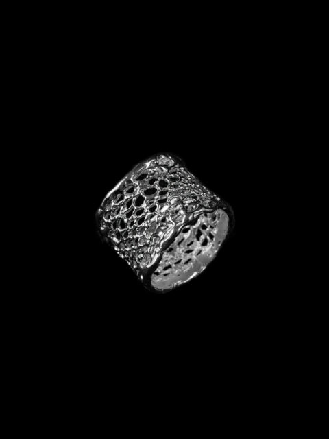 Le Filet de Llŷr Ring