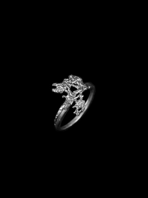 Petit Tissus Ring no. 1